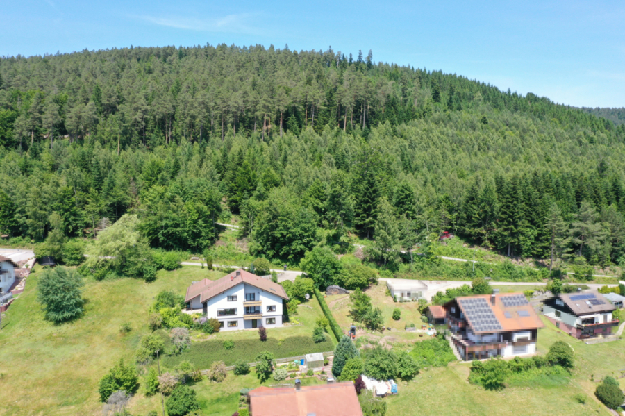 SCHWARZWALD PUR – EINE DER SCHÖNSTEN LAGEN, 75323 Bad Wildbad im Schwarzwald / Sprollenhaus, Einfamilienhaus